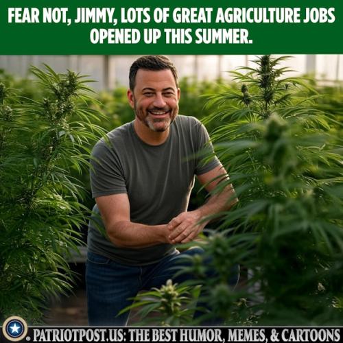 01K5EERVN9M25WX9316A28QSZR