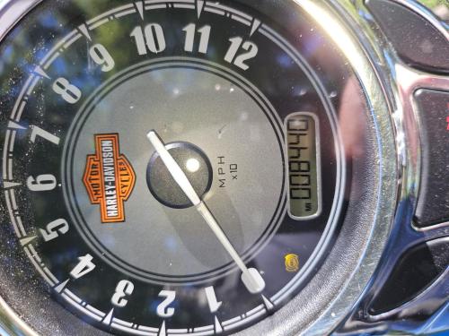 FB_IMG_1759073530656