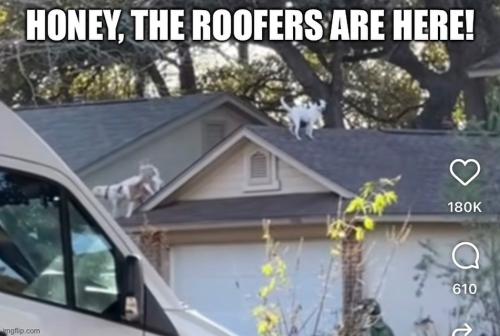 947DBD93-B839-4899-AB4B-B5BC981AF7EB