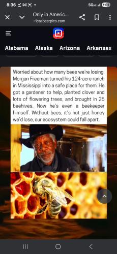 Screenshot_20250919_203616_Chrome