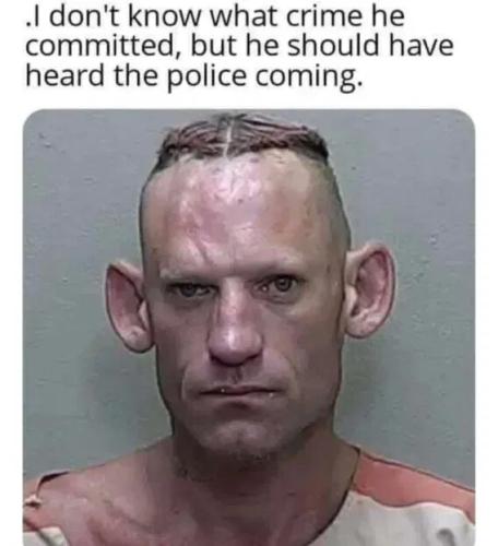 should-have-heard-police