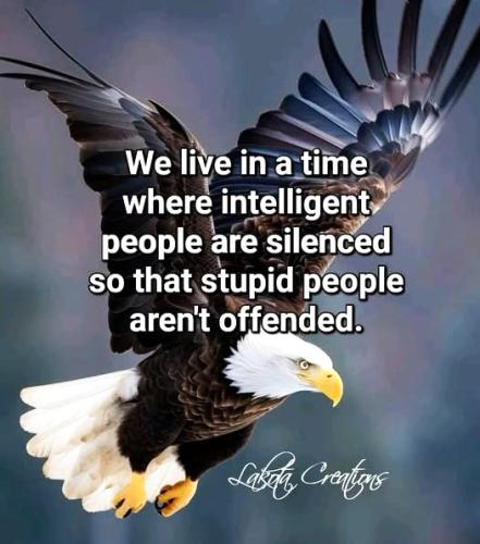 091825 - Stupid ppl