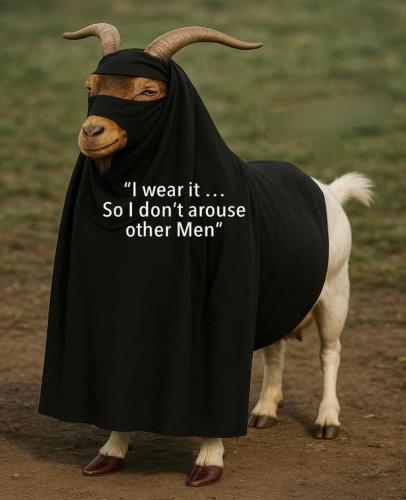 FB_IMG_1755077924306