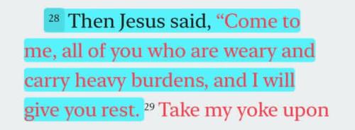 IMG_20250913_171010_188