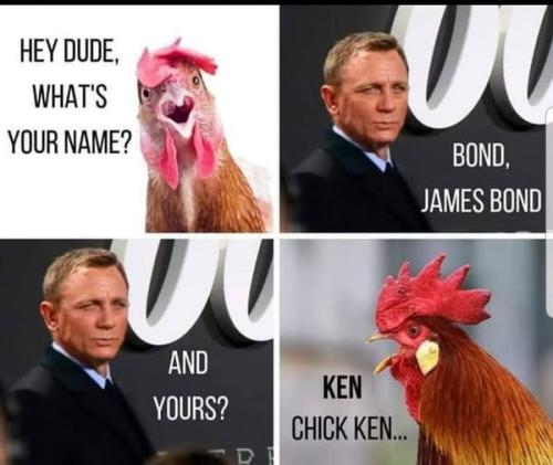 486315745_9471389812897856_9003189103140921910_n