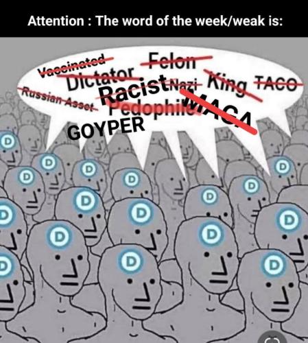 8ac6505c-ab07-4367-aa3e-b3eb021935db