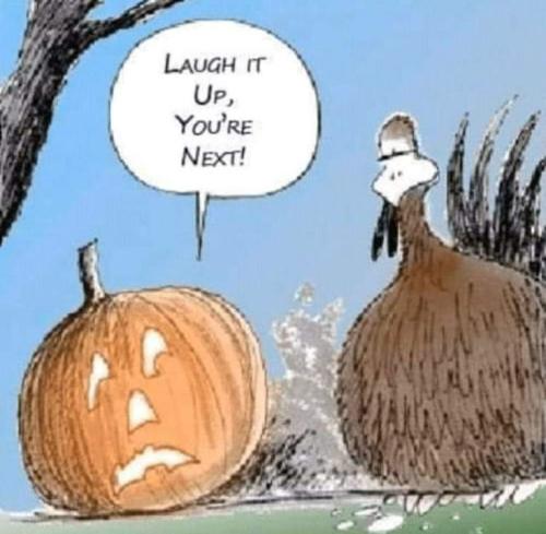 3ee7318af7c1d8cd6c8621052e560559