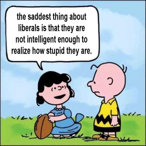 liberals363