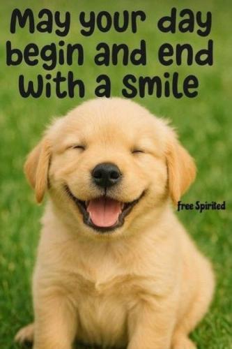 977385823c13a6fe67011e462b6bc4cb