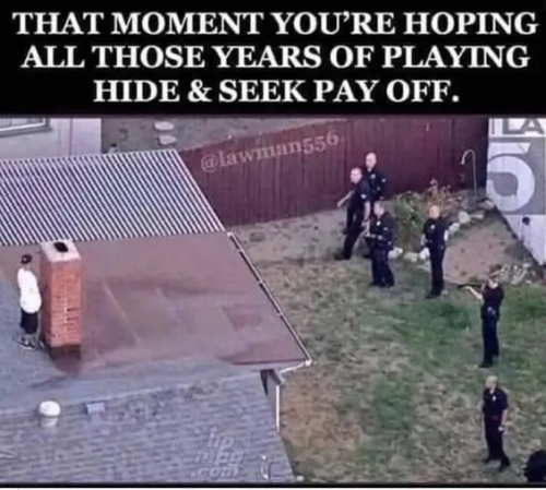 Screenshot 2025-09-23 at 14-53-42 1758468661472.webp (WEBP Image 565 × 508 pixels)