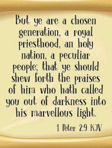 81320a3d-0367-4050-aa64-4666842d0bd8