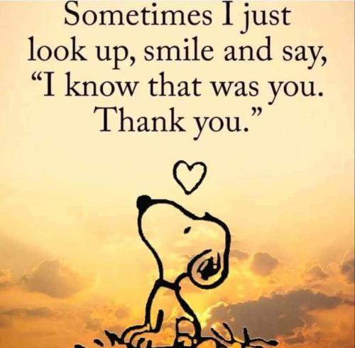 c5248708a85d287f6f5cd60b34f4dc78