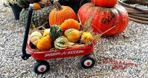 Screenshot_20250923_081458_Gallery