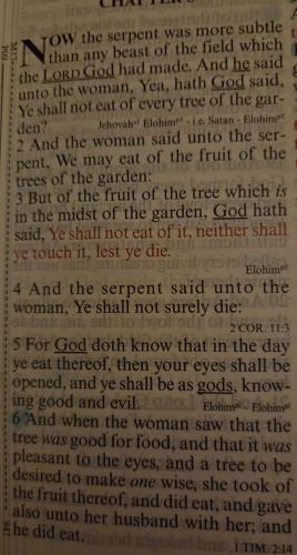 FB_IMG_1758794652988