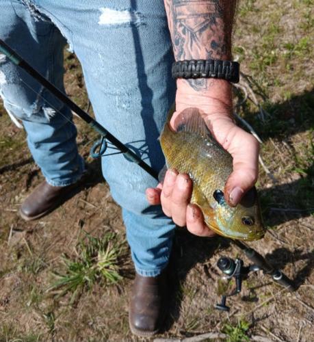 Screenshot_20250912_190141_Messages