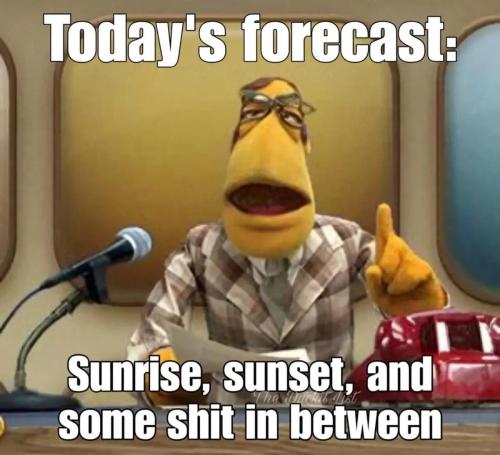 image_6265C803-E2EB-4535-B1BA-567E0247BCED