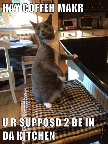 youre-on-the-wrong-side-of-the-counter-bub