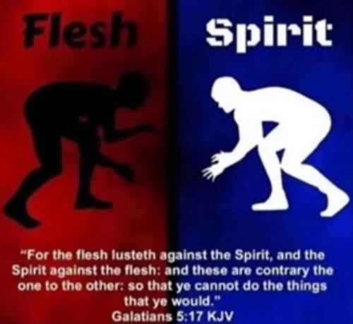 9bdefc0f-9a7a-48f9-a16a-00f8f82f2237