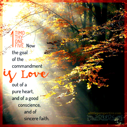 1-tim-1-5-KJV-pixabay