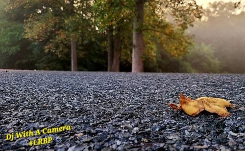 Screenshot_20250901_184406_Gallery