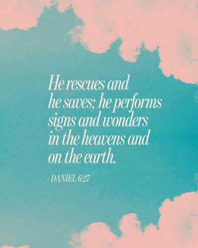 538541597_1429700875269522_7570959876389653431_n