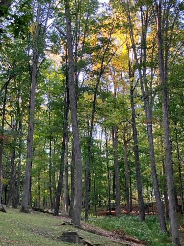 A2CB63B4-2602-4AA4-858F-B9FC4F5639AE