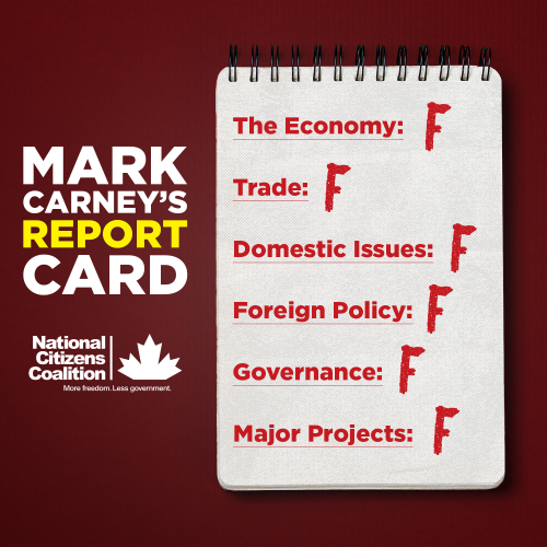 feature report card carney