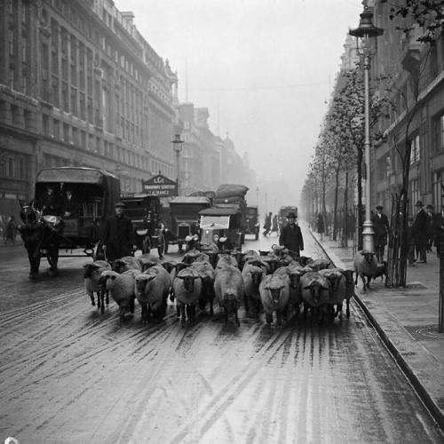 interesting-vintage-history-photos-12