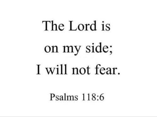 540916048_2501775283555381_3526028567782818726_n