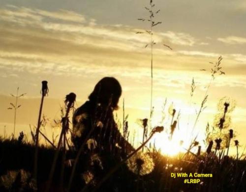 Screenshot_20250914_074528_Gallery