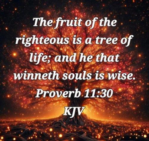 b0834008-e658-4ab7-bcb0-d8b0854d201b