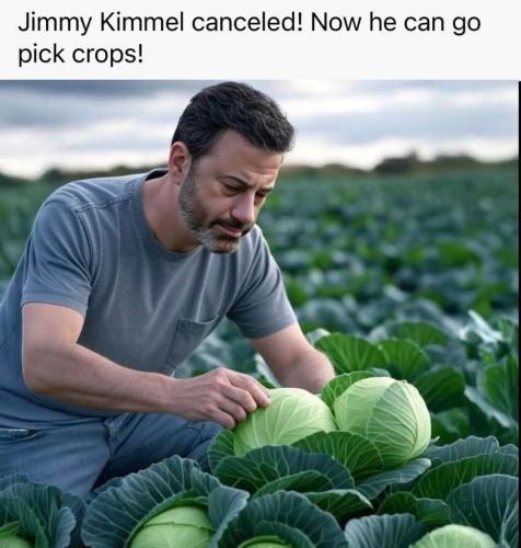 afff834f-5274-4ade-a659-4b11dc3b3646