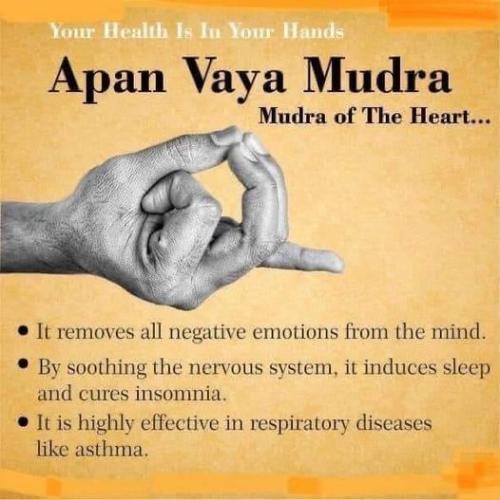 ,         418235313_73391130547