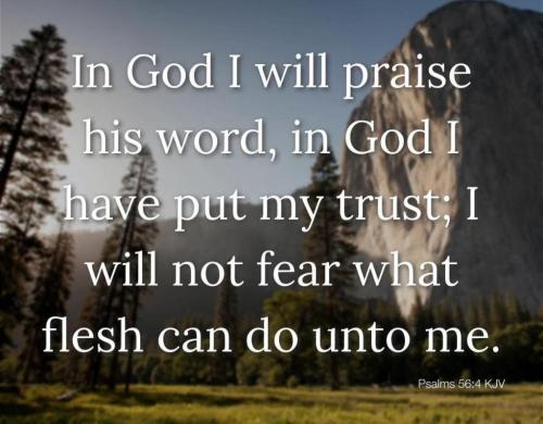 92e34c81-b33b-45f1-bc22-12b0efe77f8d