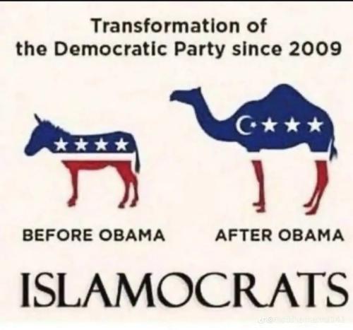 0619A704-B95F-478D-94FE-A0DCD6C5EE57