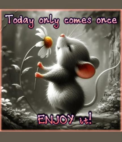 535986943_1124189086468605_3679023194685577509_n