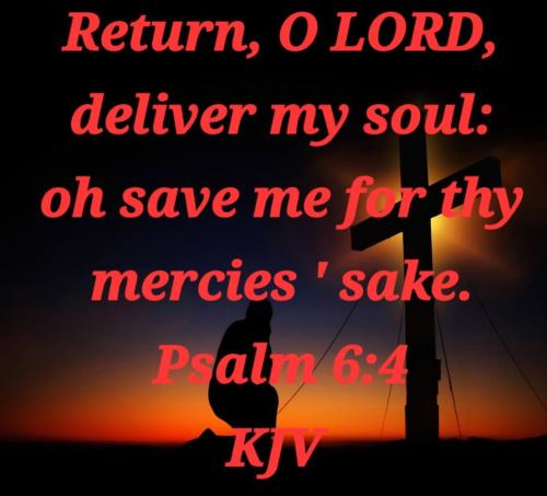 e8f9b08e-587e-4c24-9904-cf211605f74b