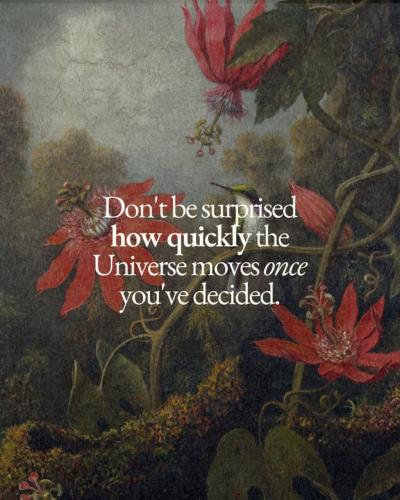 IMG_20251027_134507_778