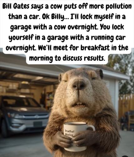 42AE0CB2-ABF6-429E-9A7D-5821B2182C9D