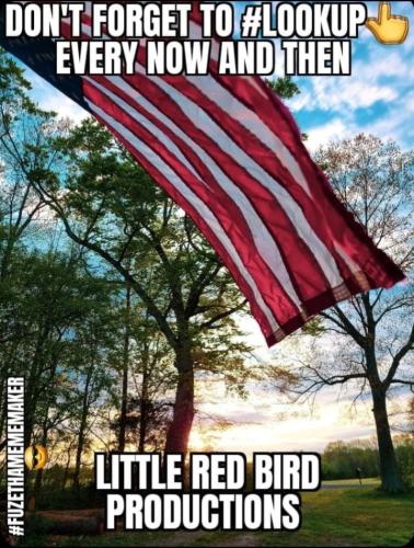 Screenshot_20251010_072855_Gallery