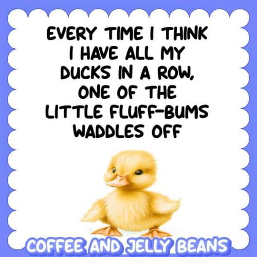 557849151_1319156562970270_4053565688948208852_n