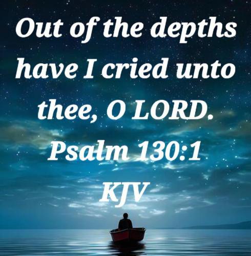 2a5219bb-d8dd-445d-aa99-45e6dc738fa5