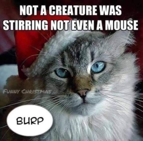 FB_IMG_1577287859656