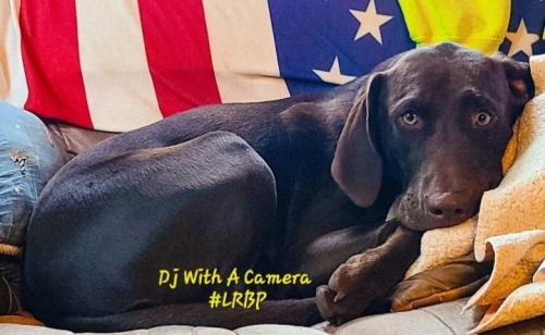 Screenshot_20251017_072009_Gallery