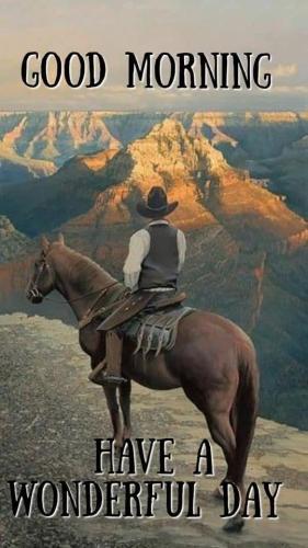 b3f2c7b5f016dbffa131210a76b8110f