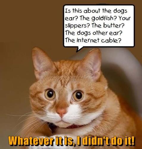 54c320040c7f02284efcf7fc555b92a9