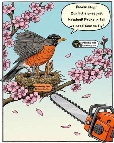 519611143_1347851650675170_6109909396949180933_n