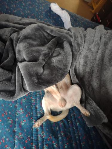 IMG_20251017_105622685