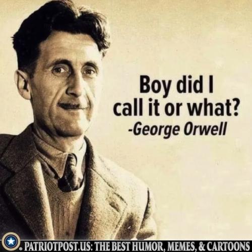 01K8VYPEQDVZQPXV5DD3NQQ4MC