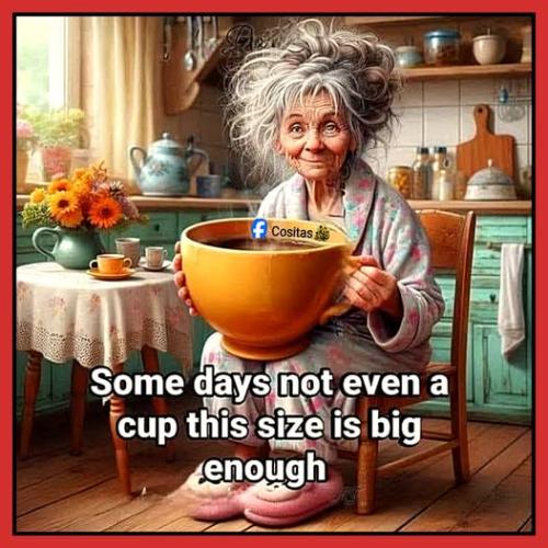 557250976_1306337371503603_317349242154225599_n